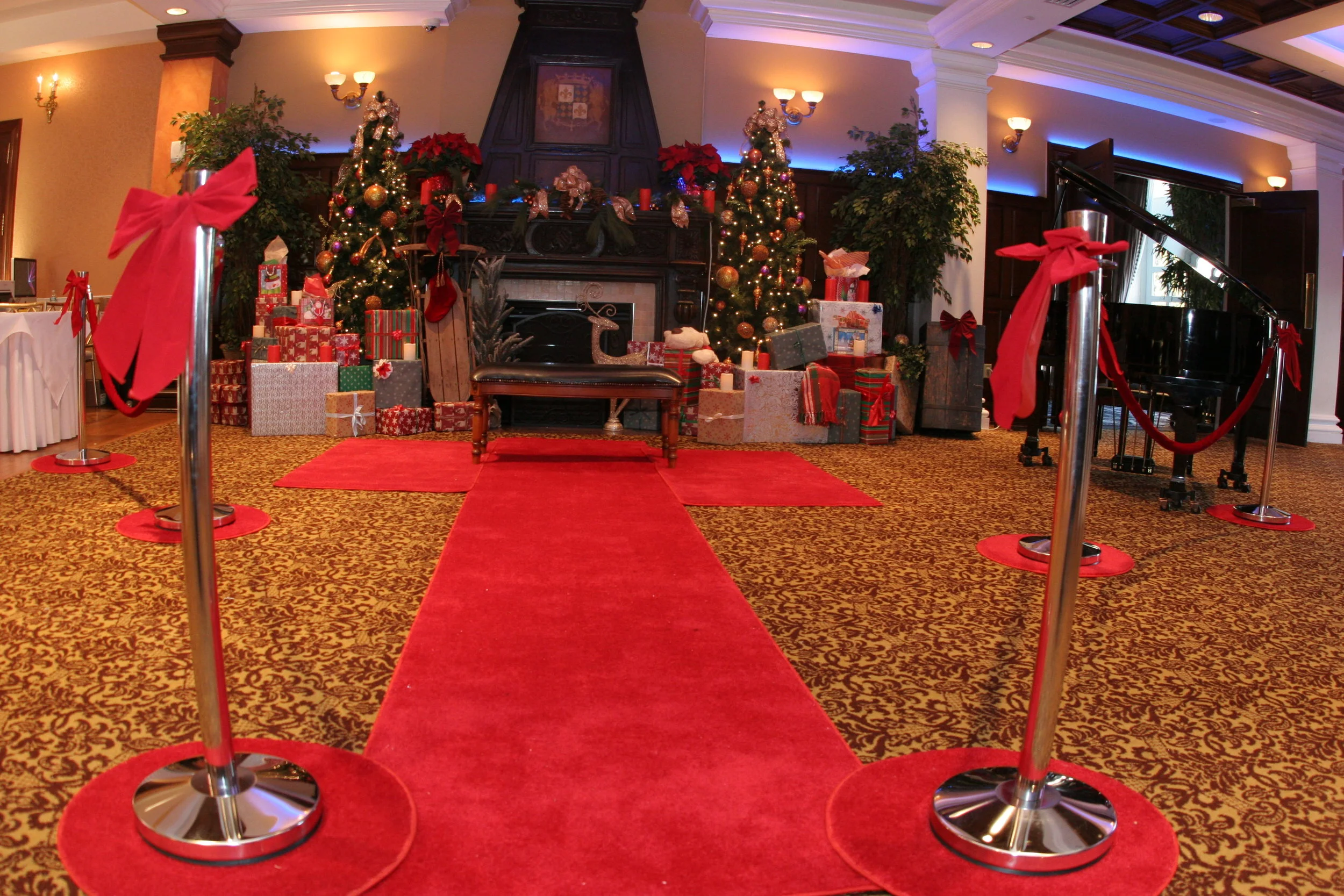 Red Carpet and Stanchions.JPG