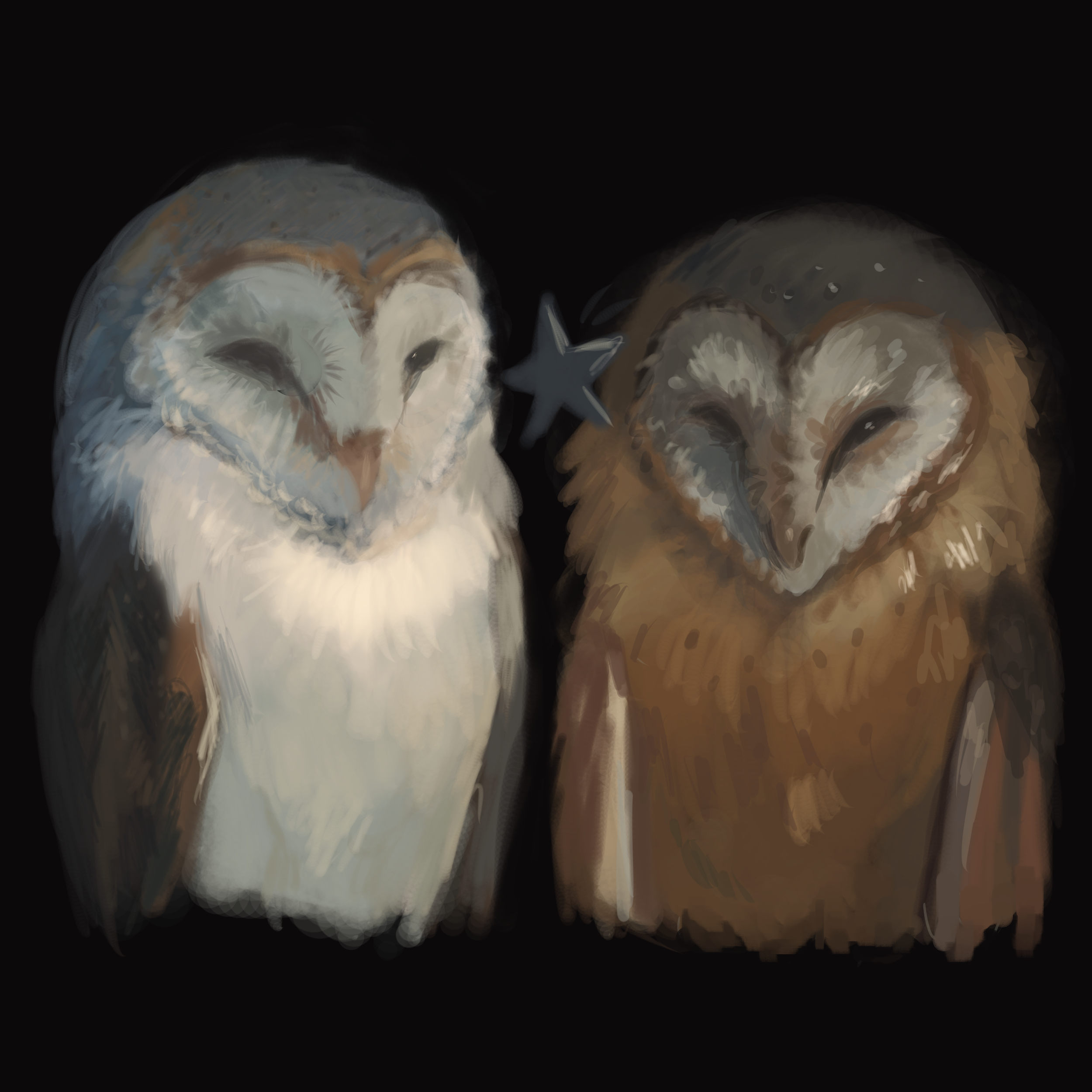 Owl Study.png