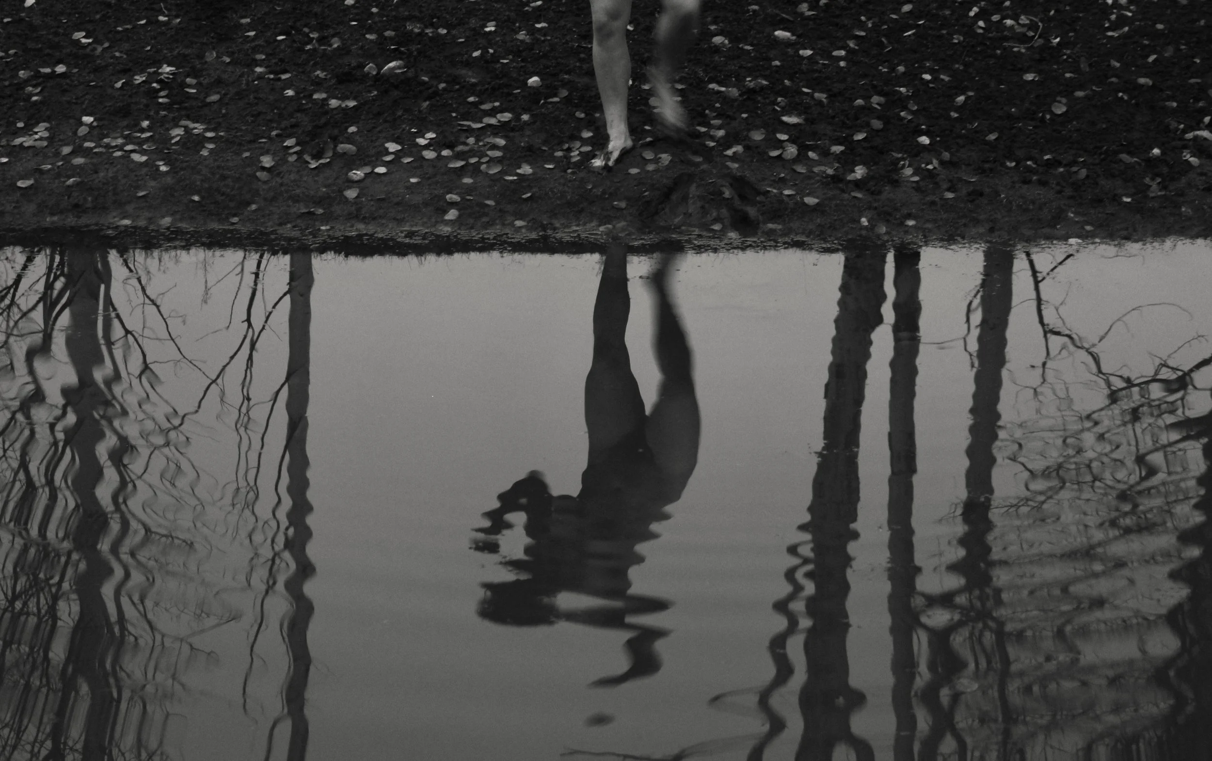 Cold Plunge by Viola Boyd Brocker.JPG
