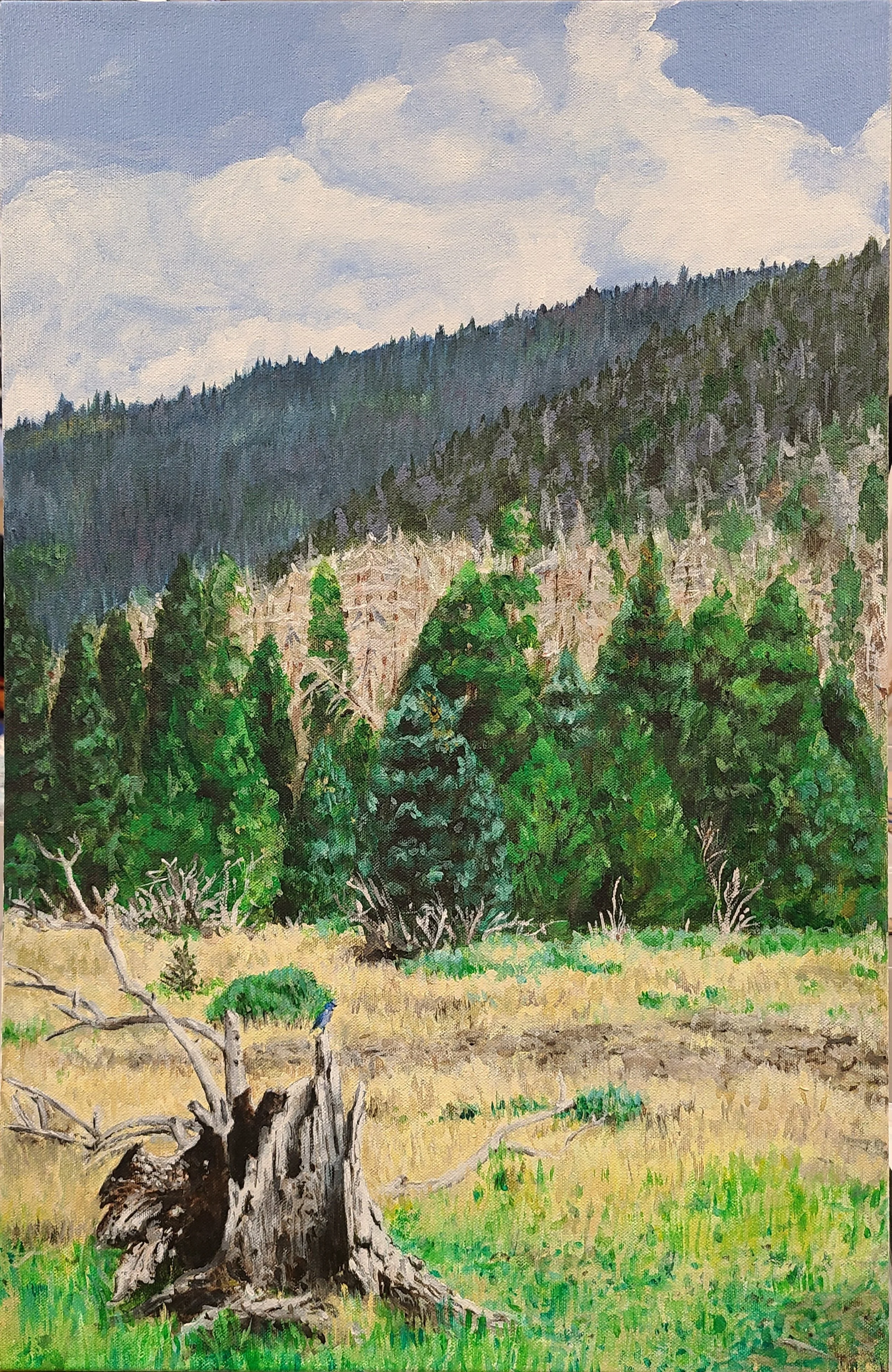 Colorado Stump by Ellesie Strassner.jpg