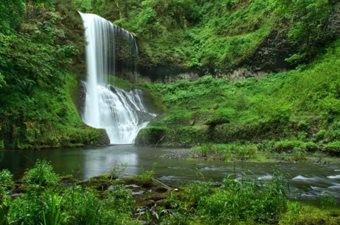 Photo: Silver Falls State Park