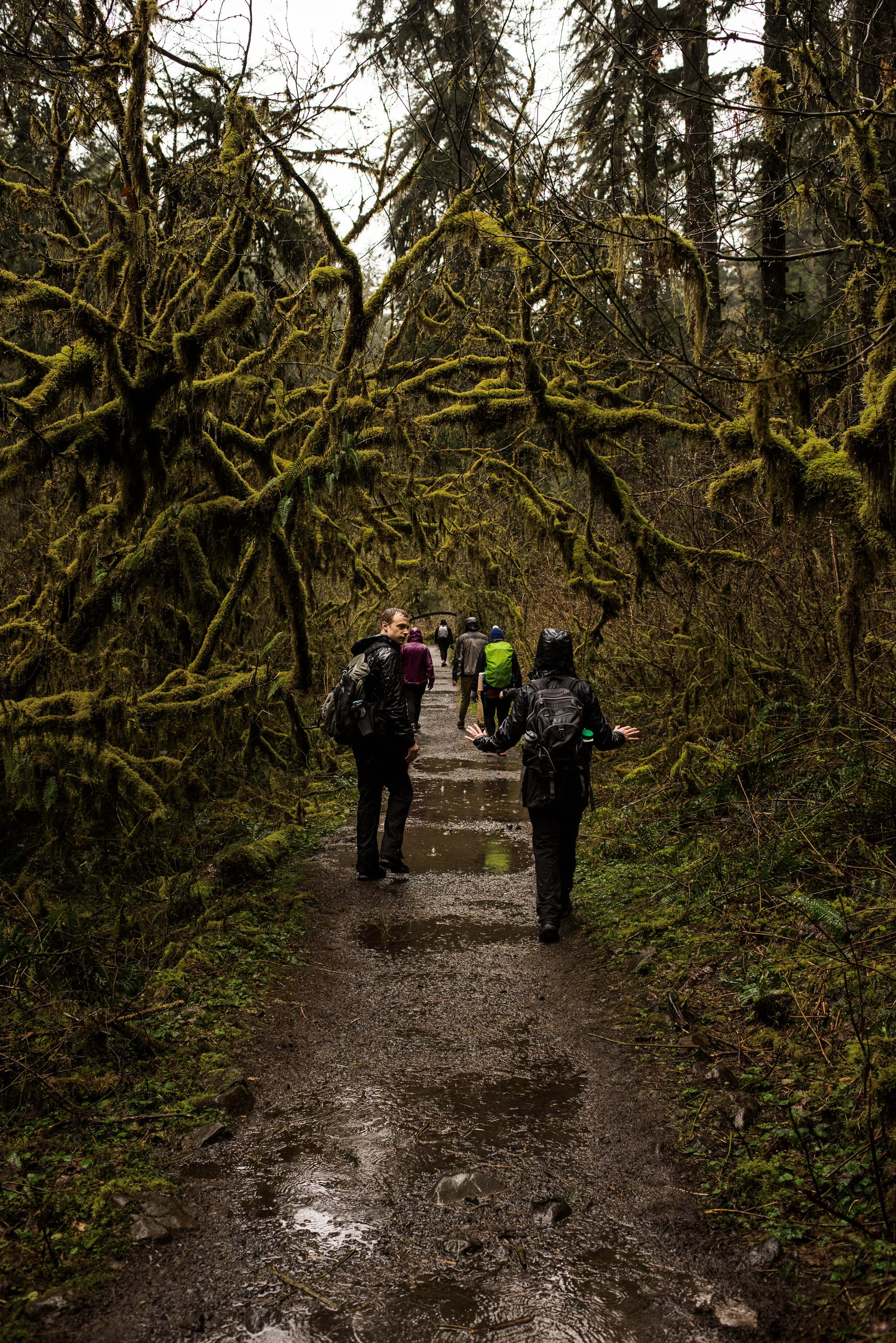 Silver_Falls_State_Park_Jan_2017_DSC_0479.jpg