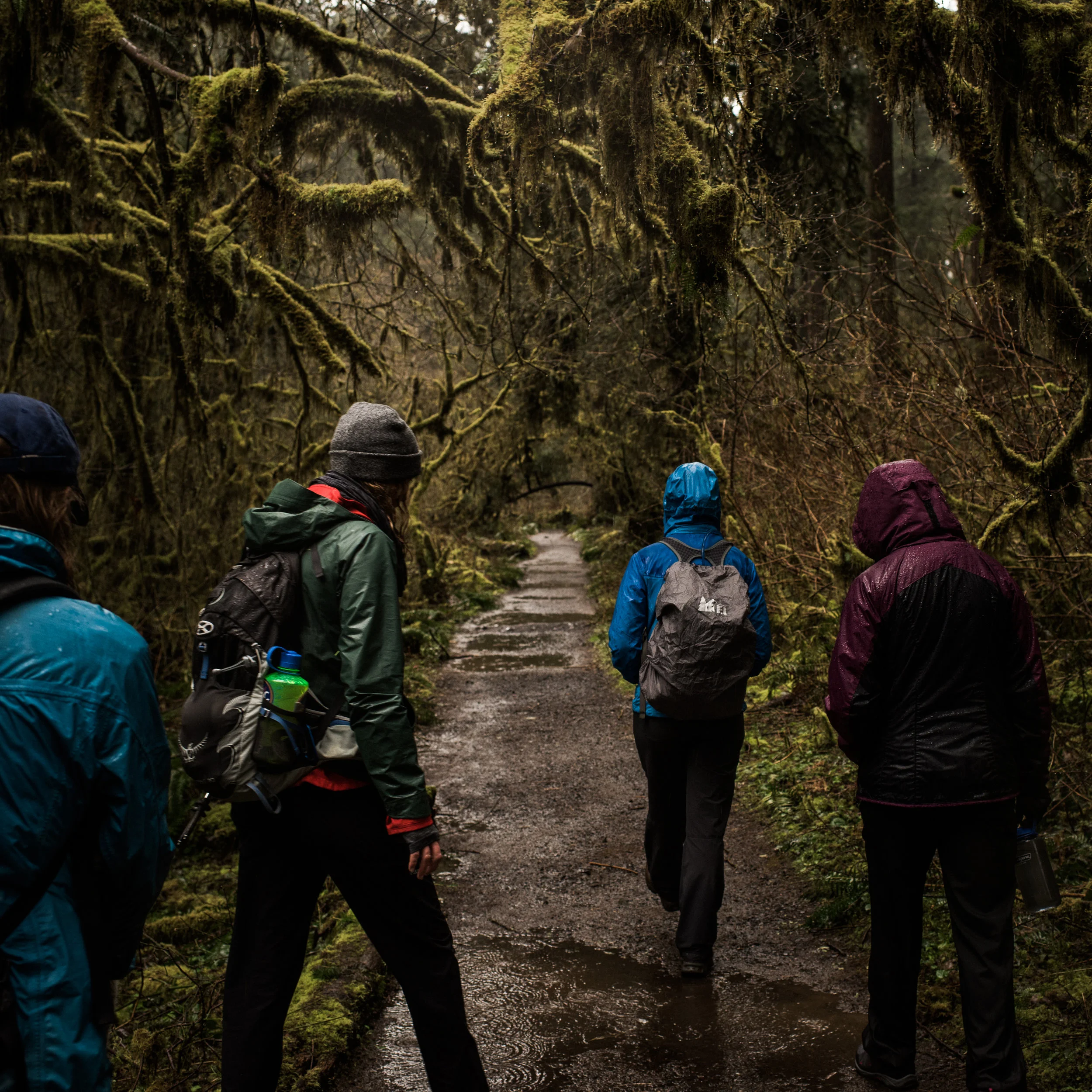 Silver_Falls_State_Park_Jan_2017_DSC_0486.jpg