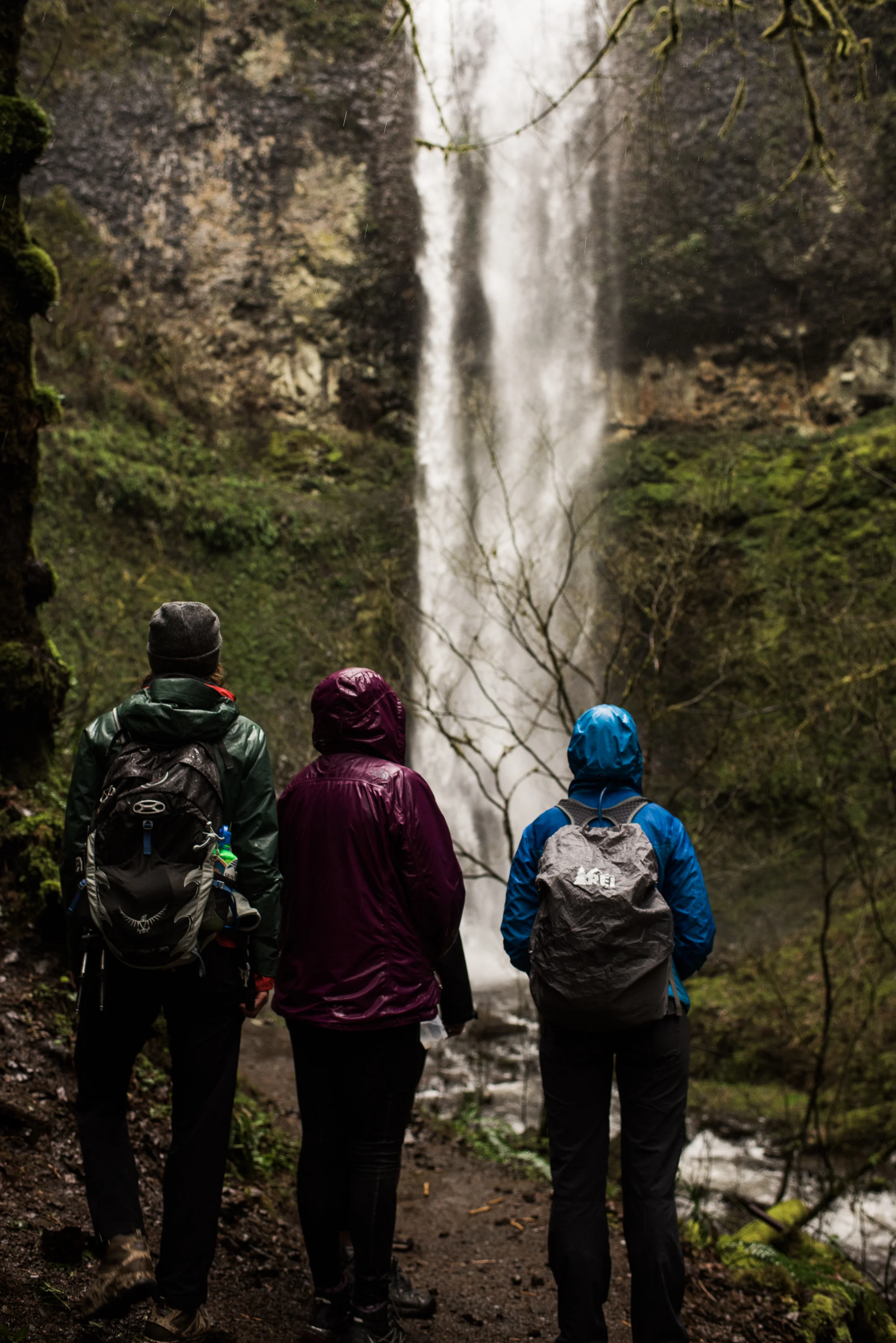 Silver_Falls_State_Park_Jan_2017_DSC_0506.jpg