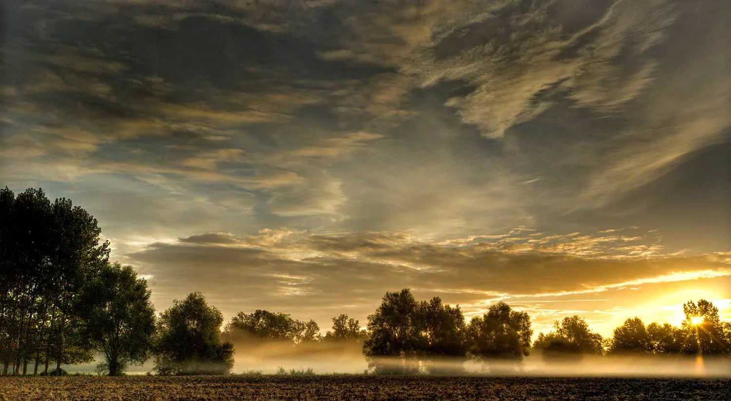 tule_fog_web_com.jpg