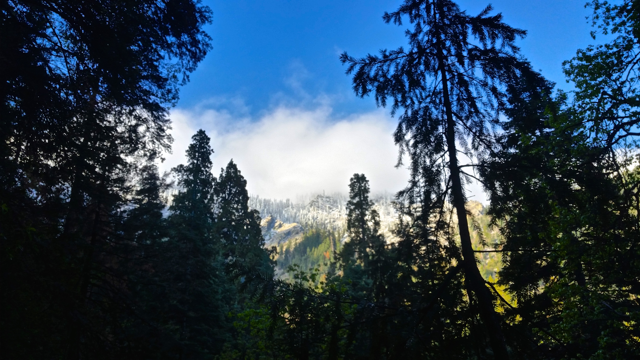 Waking up to my first glimpse of snow a few hundred feet above where I made camp. 