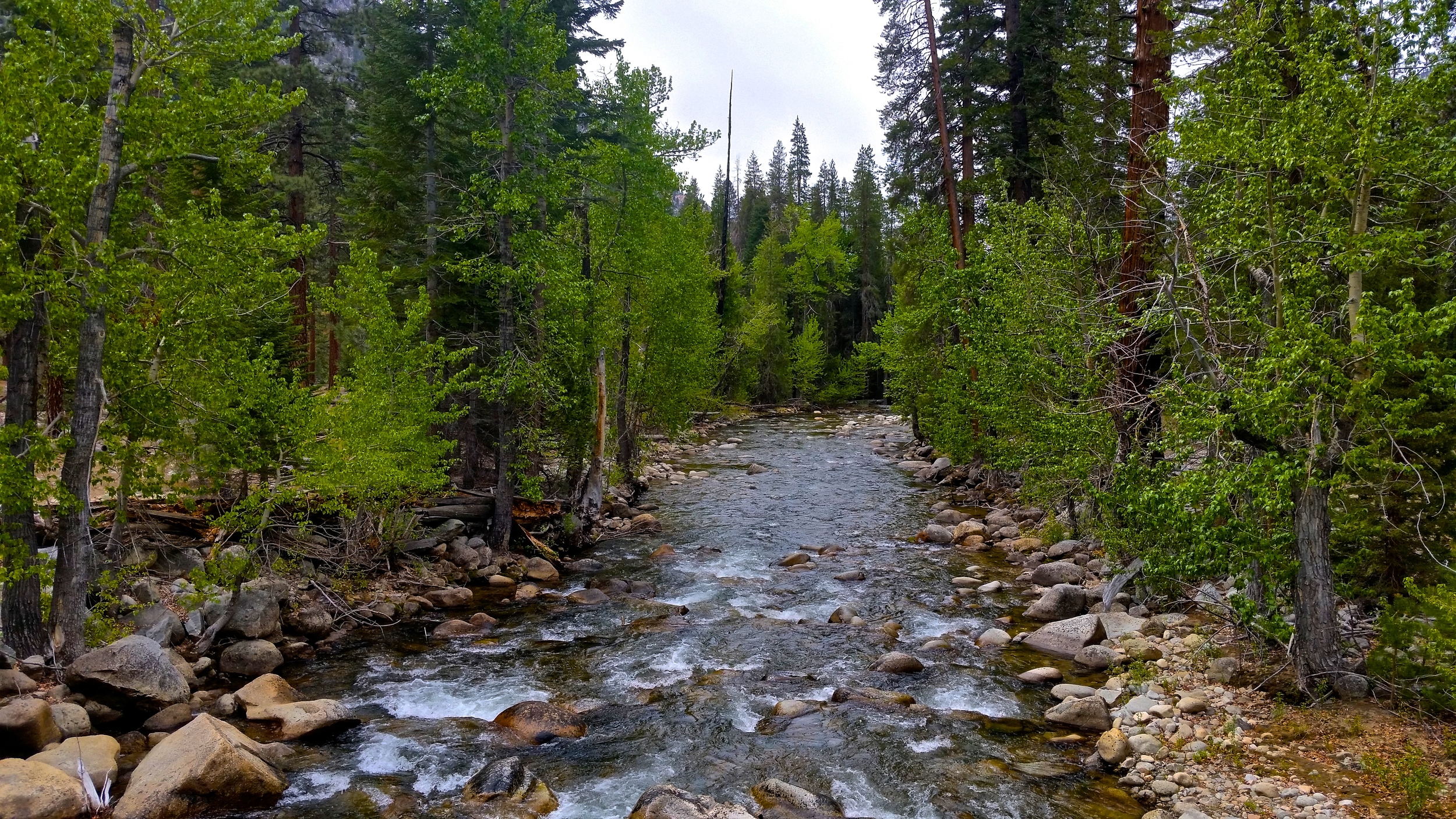 The slow moving Kern River.. I was shocked that with these MAJOR storms rolling through the past 6 days nonstop that the river was still so placid and low... California's Drought at it's finest