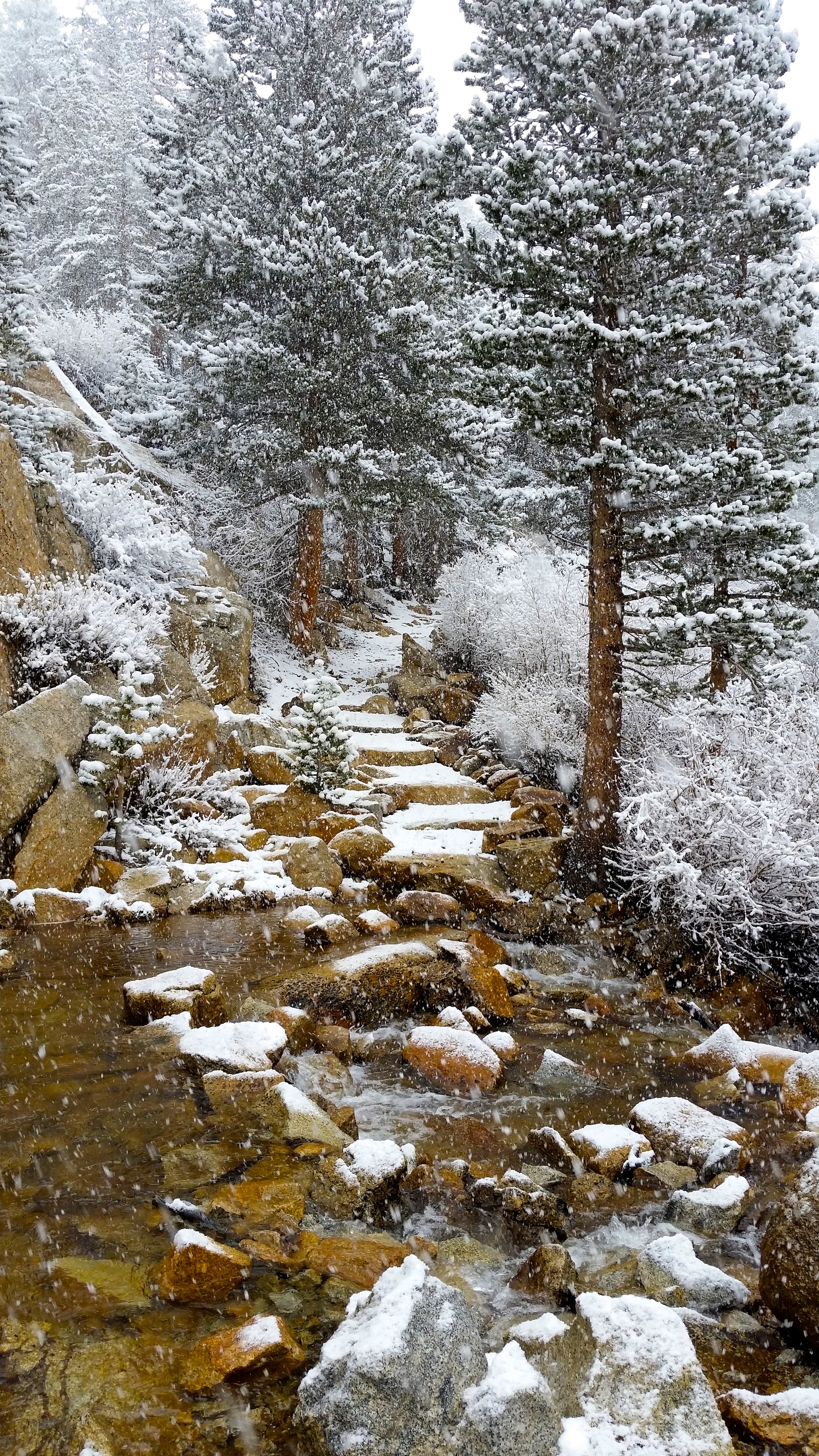 Crossing this FREEZING water source was rather chilly. I had my snow gaiters on and I walked straight through... needless to say they trapped a lot of water... but they also trapped in a lot of heat once I started moving again.
