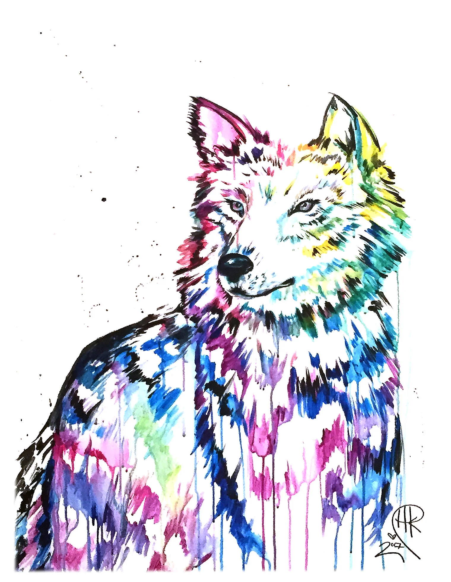 wolf_acy.jpg