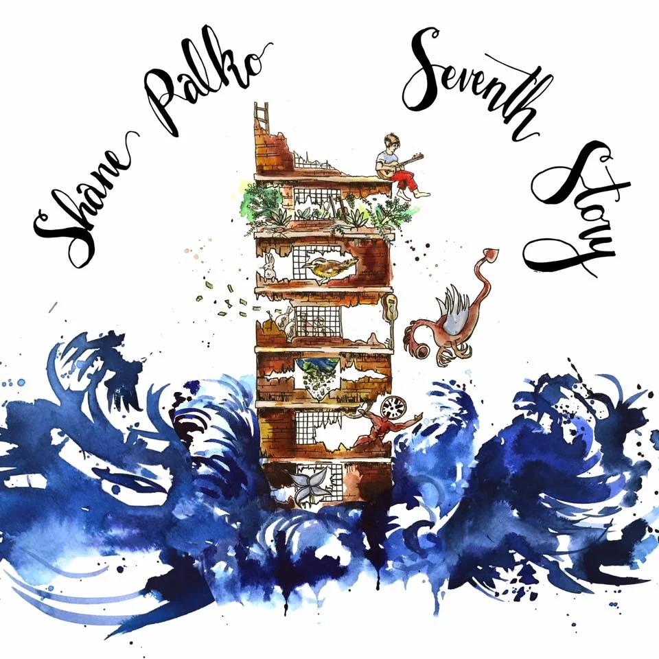 Shane Palko: Seventh Story