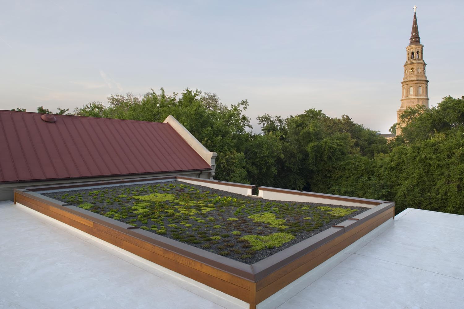green roof.jpg