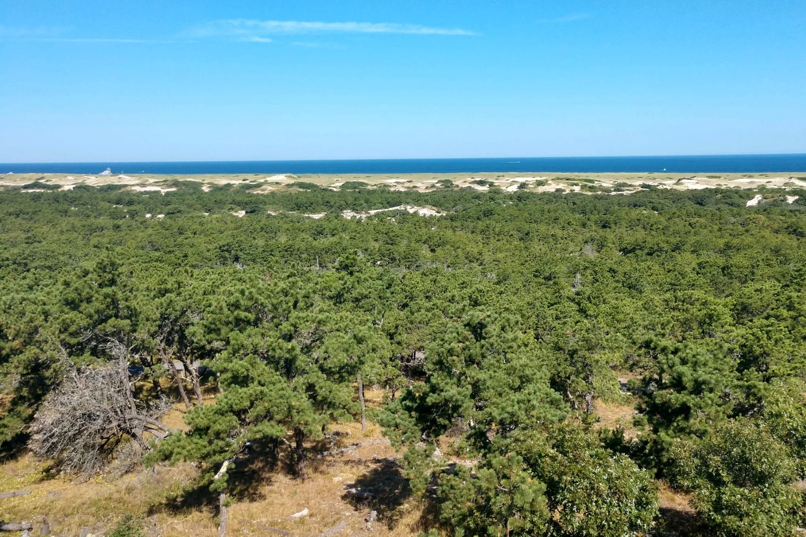 Expansive+view.jpg