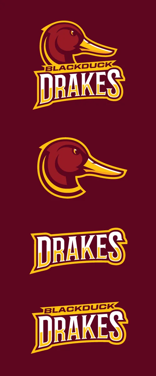Blackduck Drakes Logo Concepts