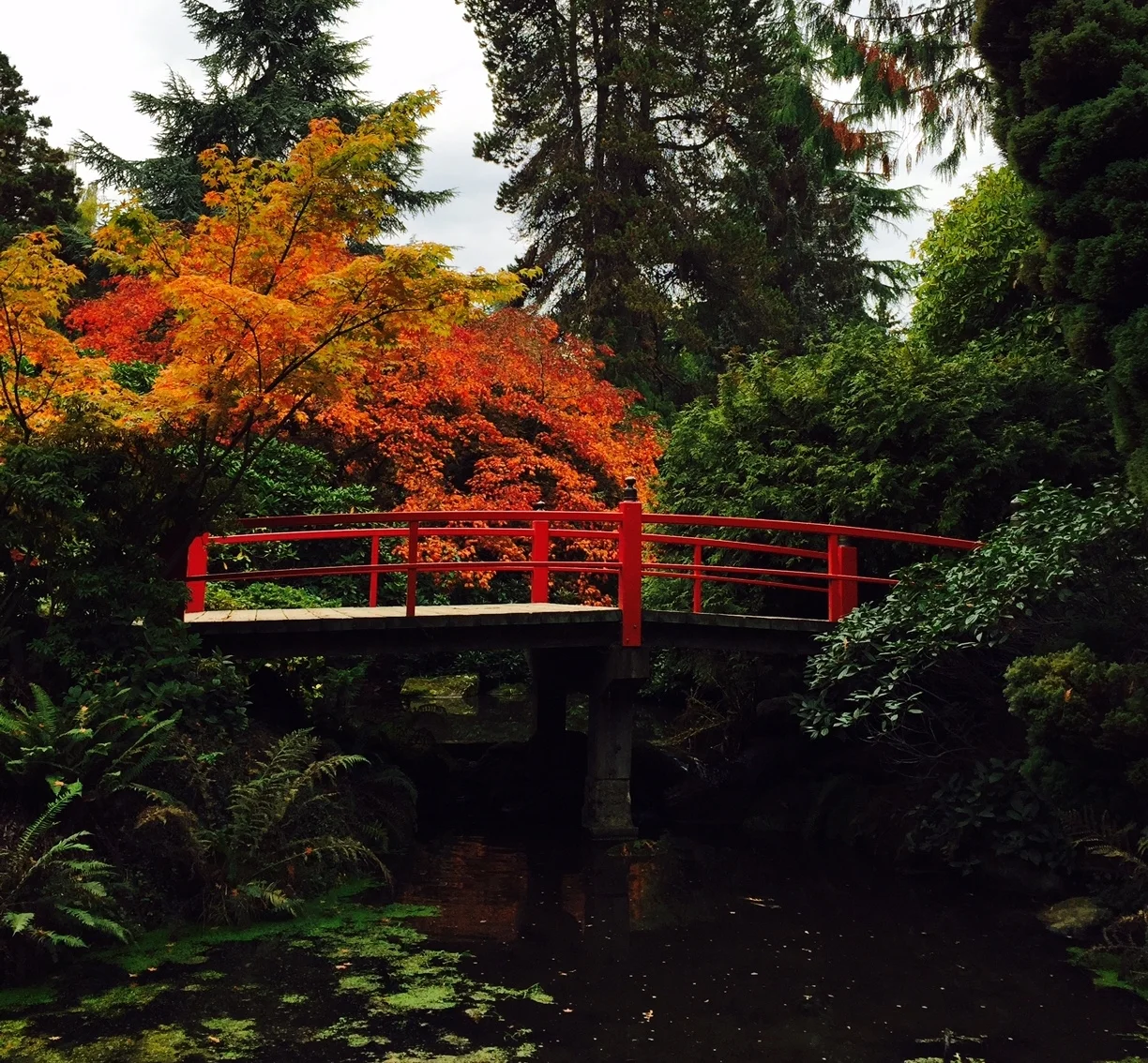 autumn in the pacific northwest