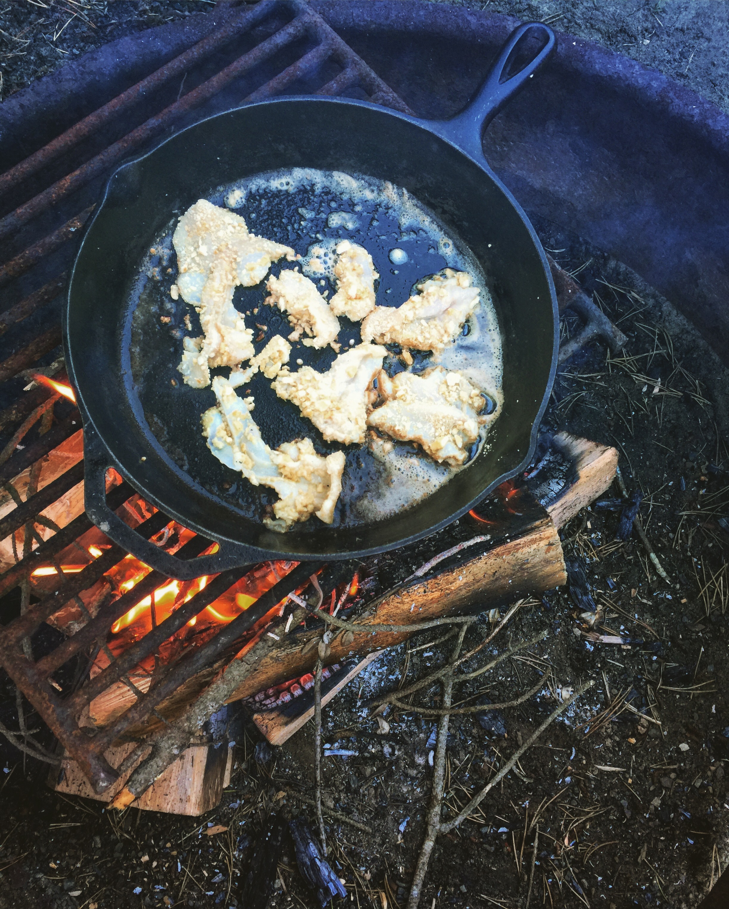 razor clams on the camp fire.JPG