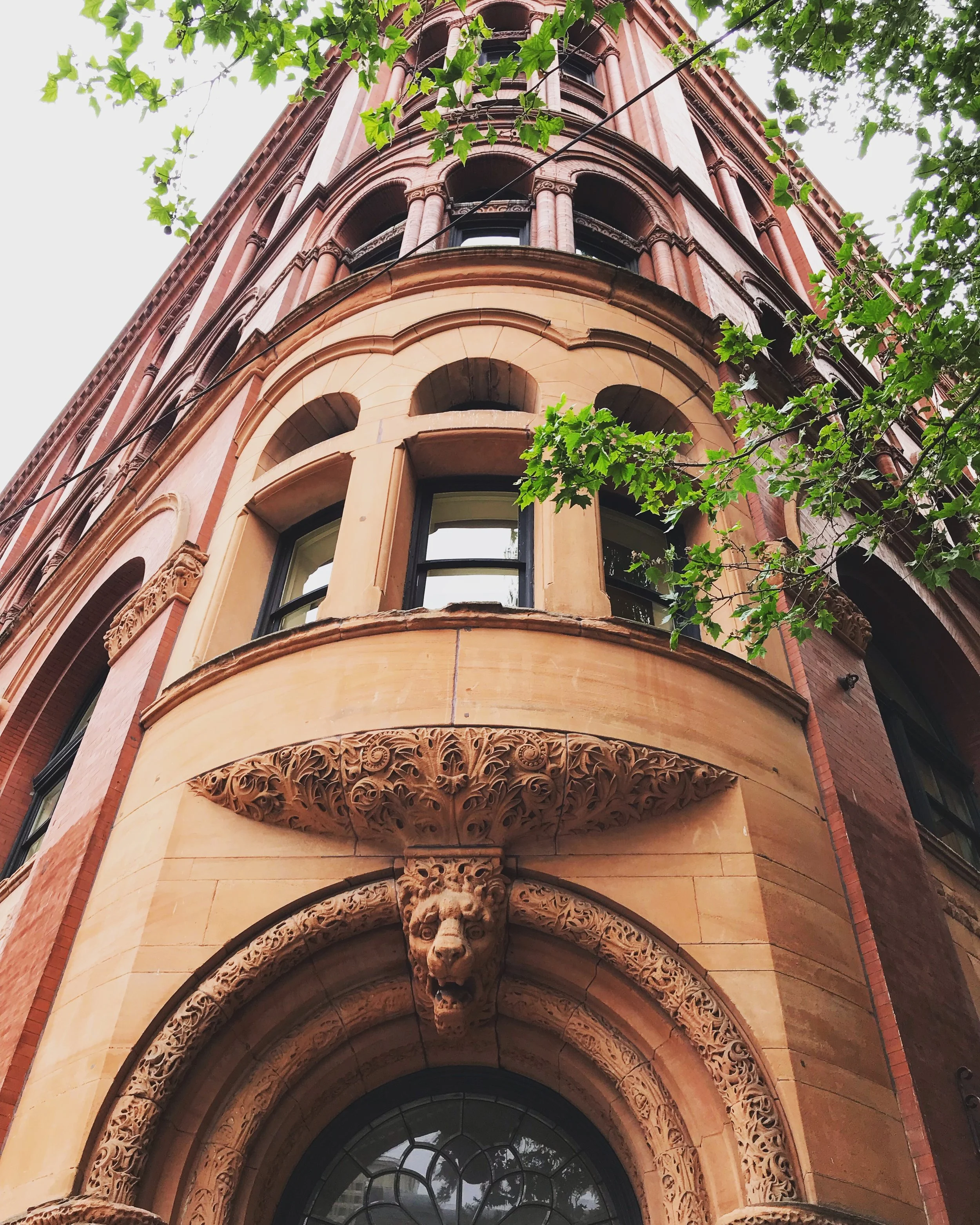 walk and talk with David B. Williams