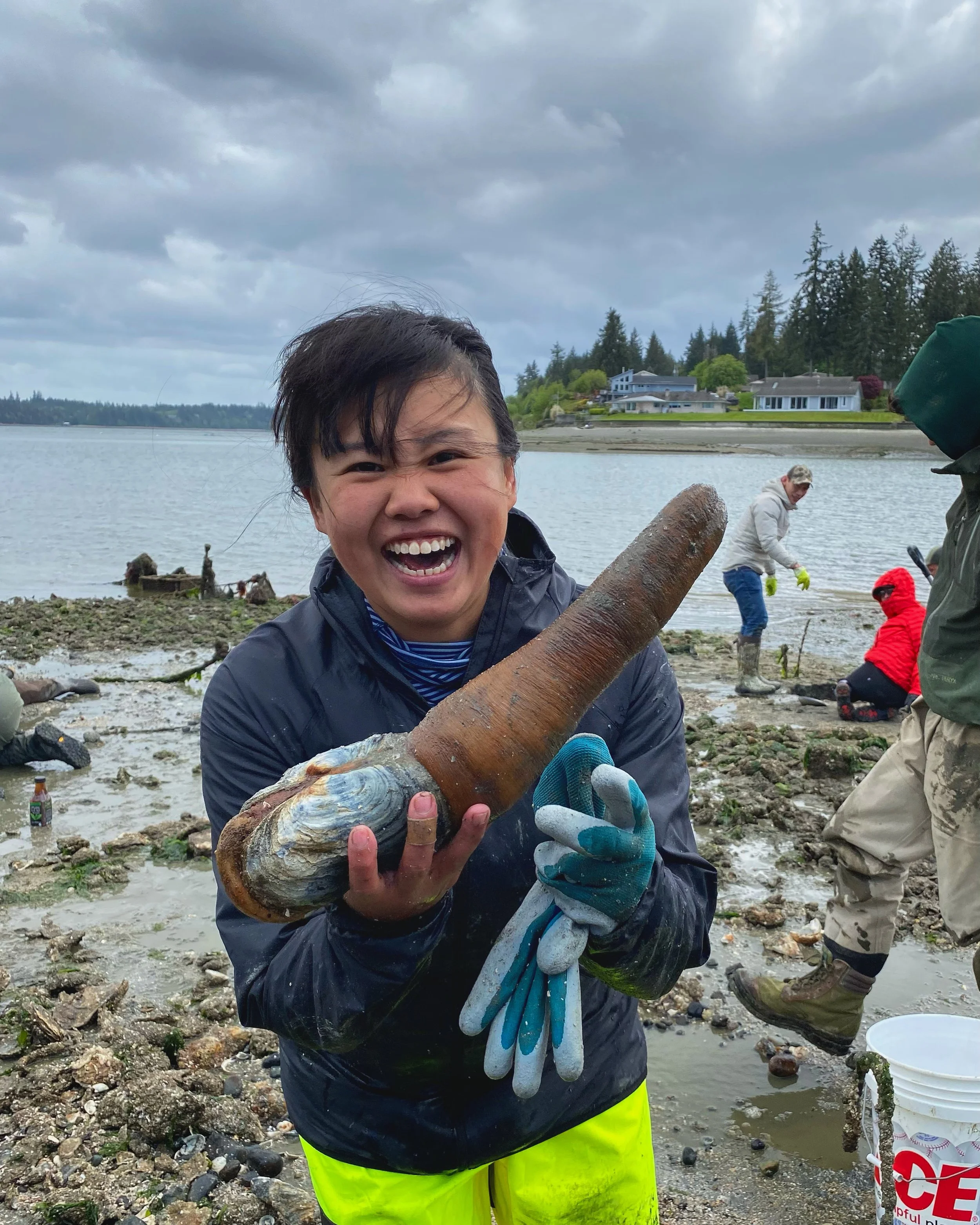 Field Trip Society postcards The Field Trip Society