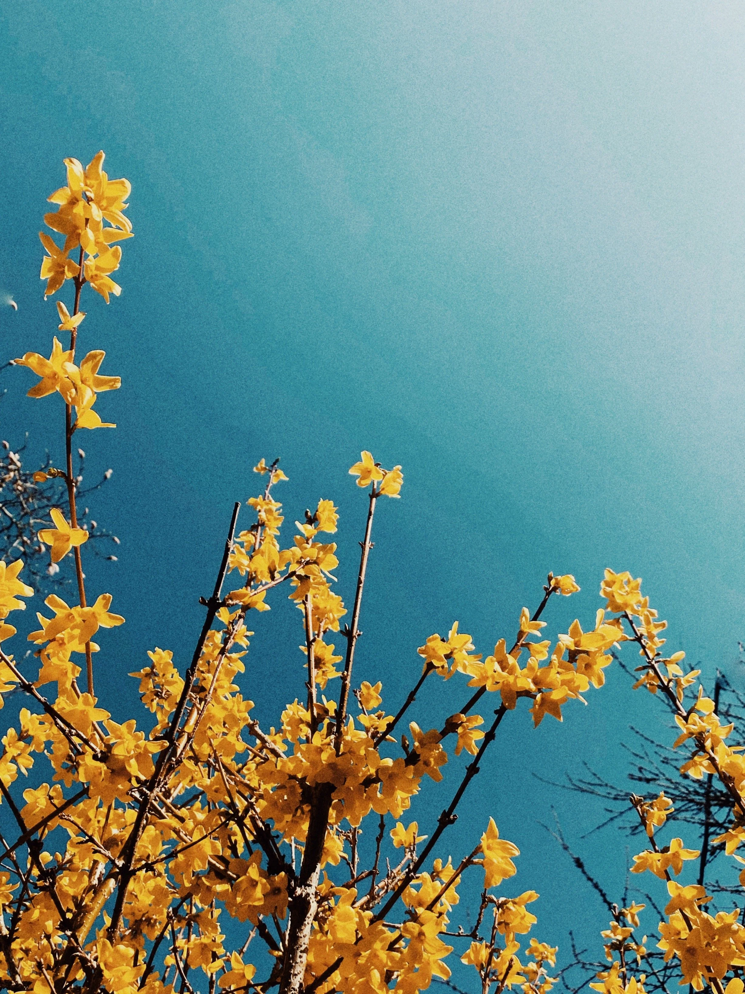 April