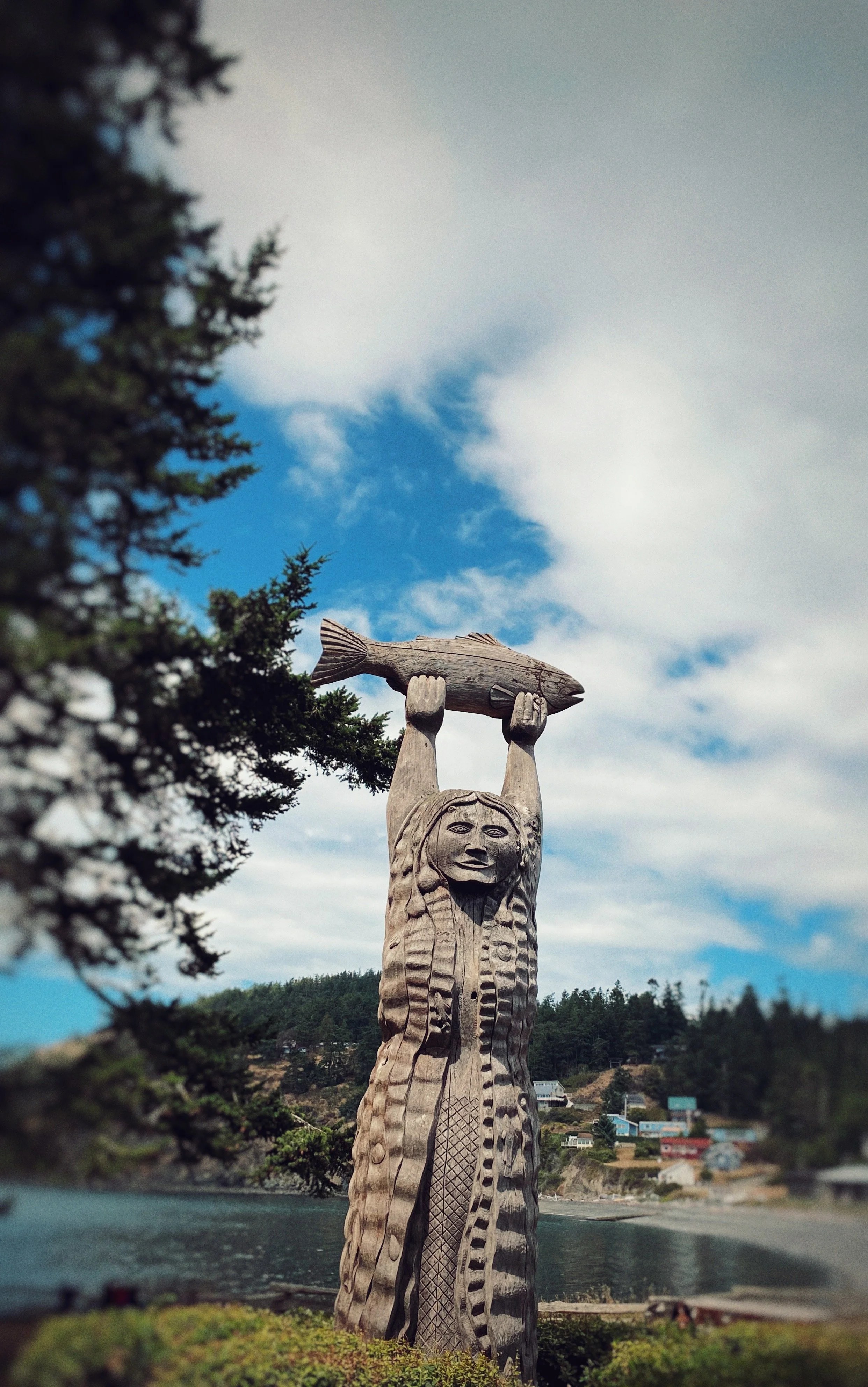 Field Trip Society postcards The Field Trip Society