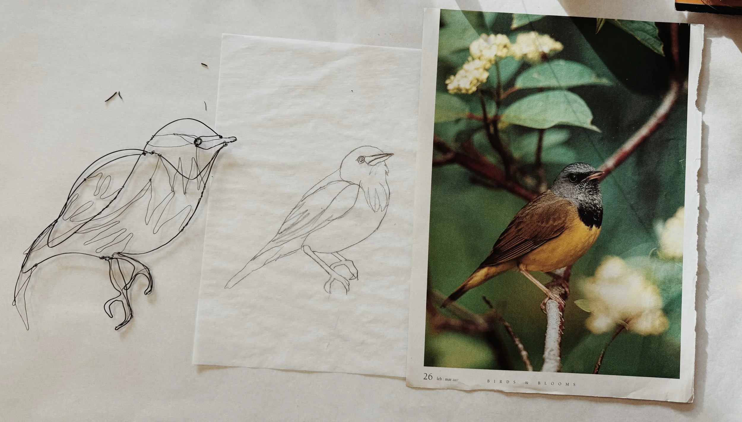 wire birds with Shelli Markee