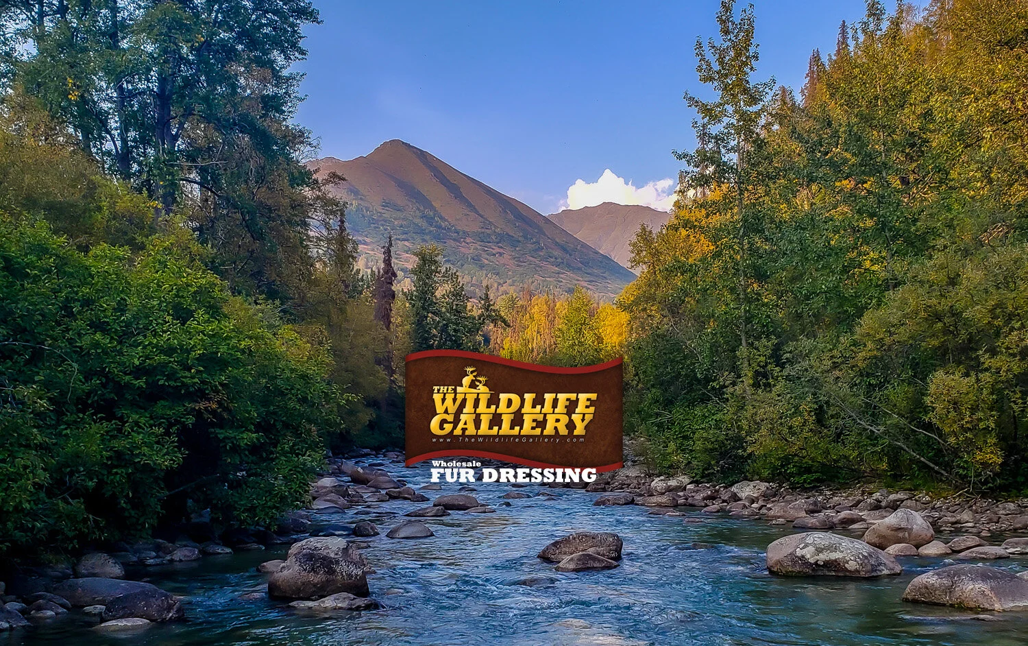 Welcome Page Tannery.jpg