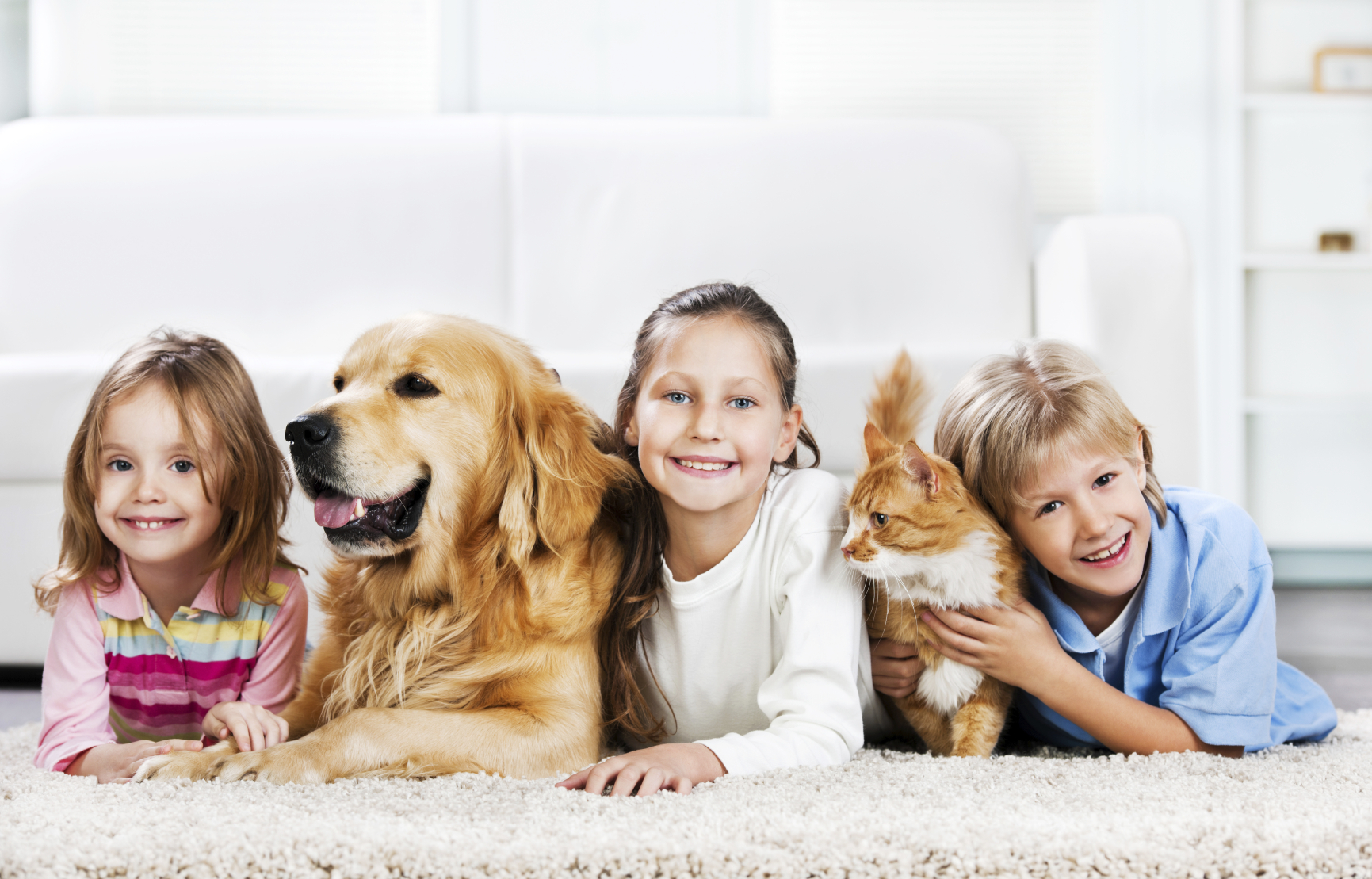 cleaning services las vegas