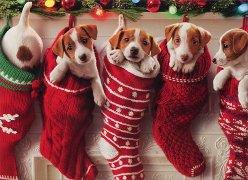 Happy Holidays!