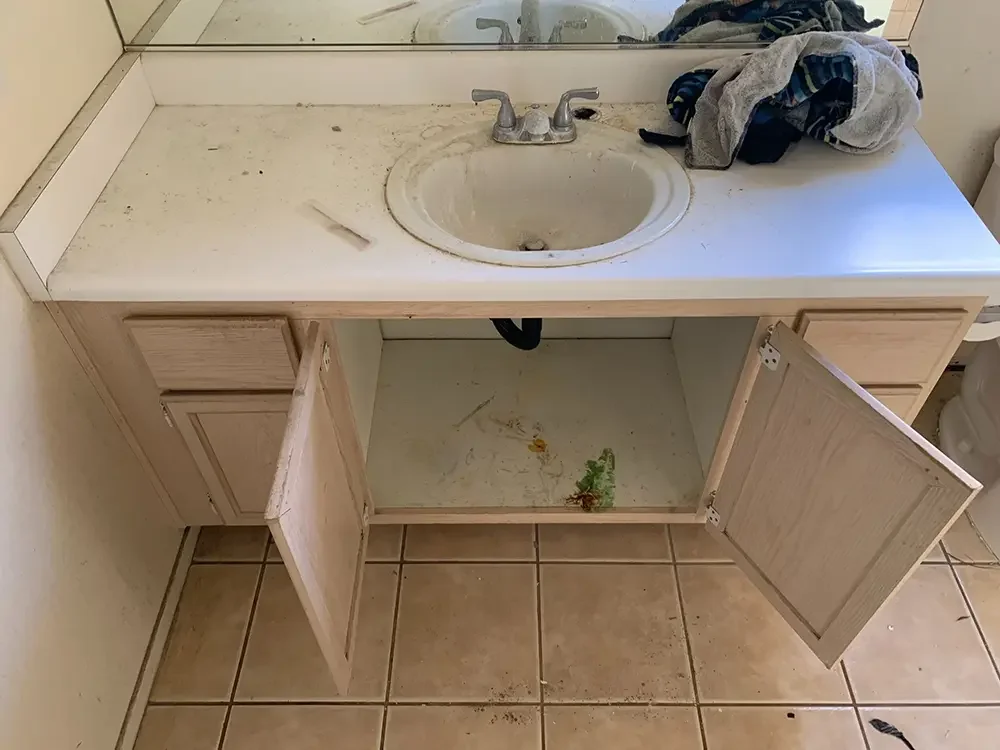 Image+from+iOS+(4).jpg 4-new.webp