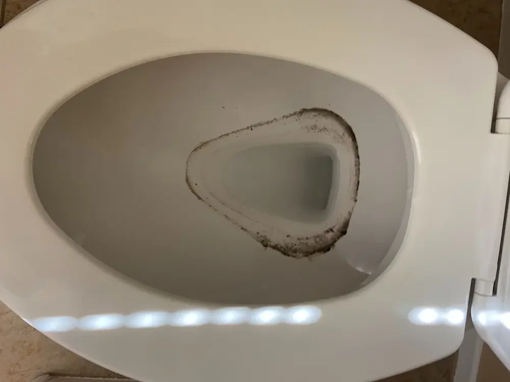 Image+from+iOS 2-new.webp