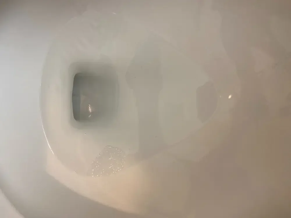 Image+from+iOS+(1).jpg 3-new.webp