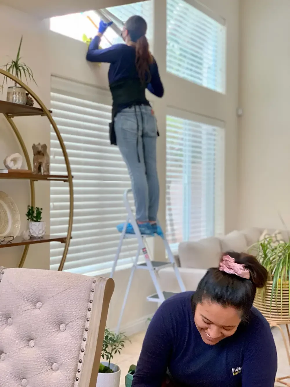 Pro Cleaning Services