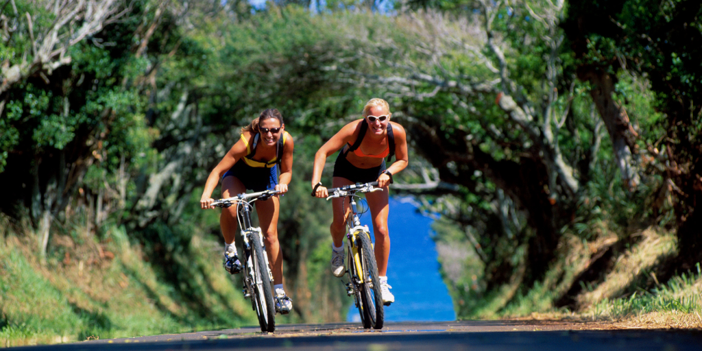 Blog-19-01-07-PERSEVERE-biciclist.png