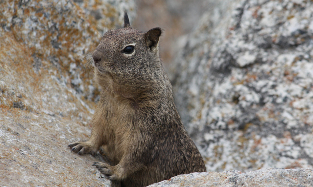 The courage to be vulnerable