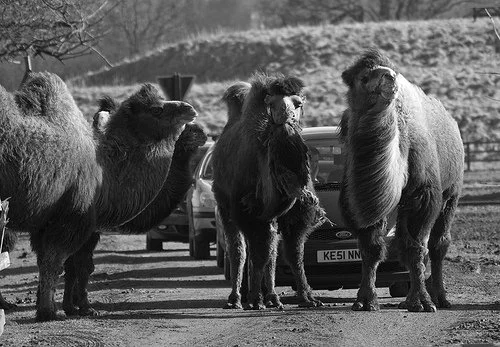 The biggest barrier to solving anything