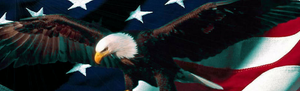 Protecting Freedom