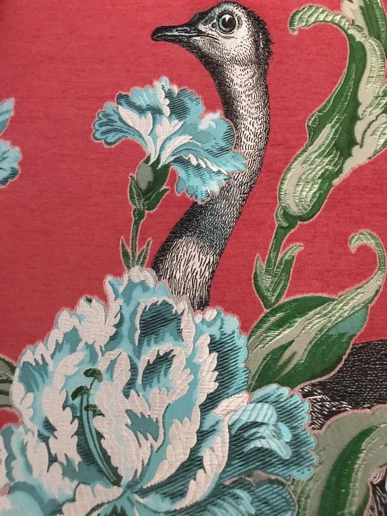 ostrich 02-21.jpeg
