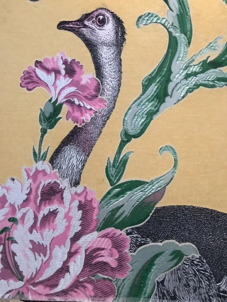 ostrich 02-22.jpeg