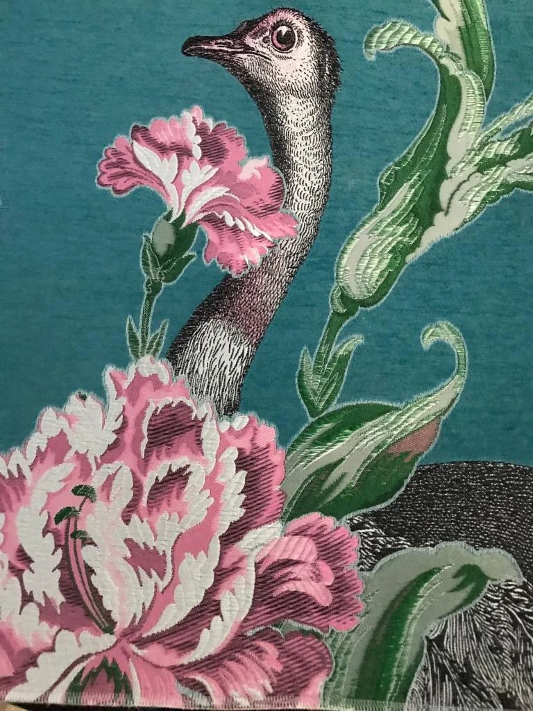 ostrich 02-23.jpeg