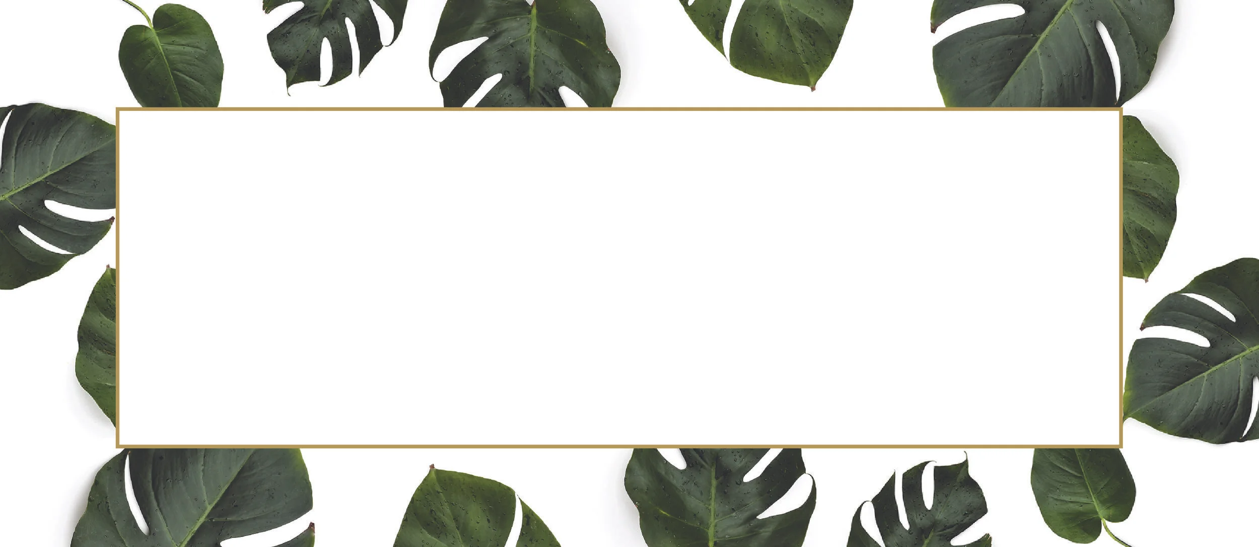 SkinTouch_Envelope-01.jpg