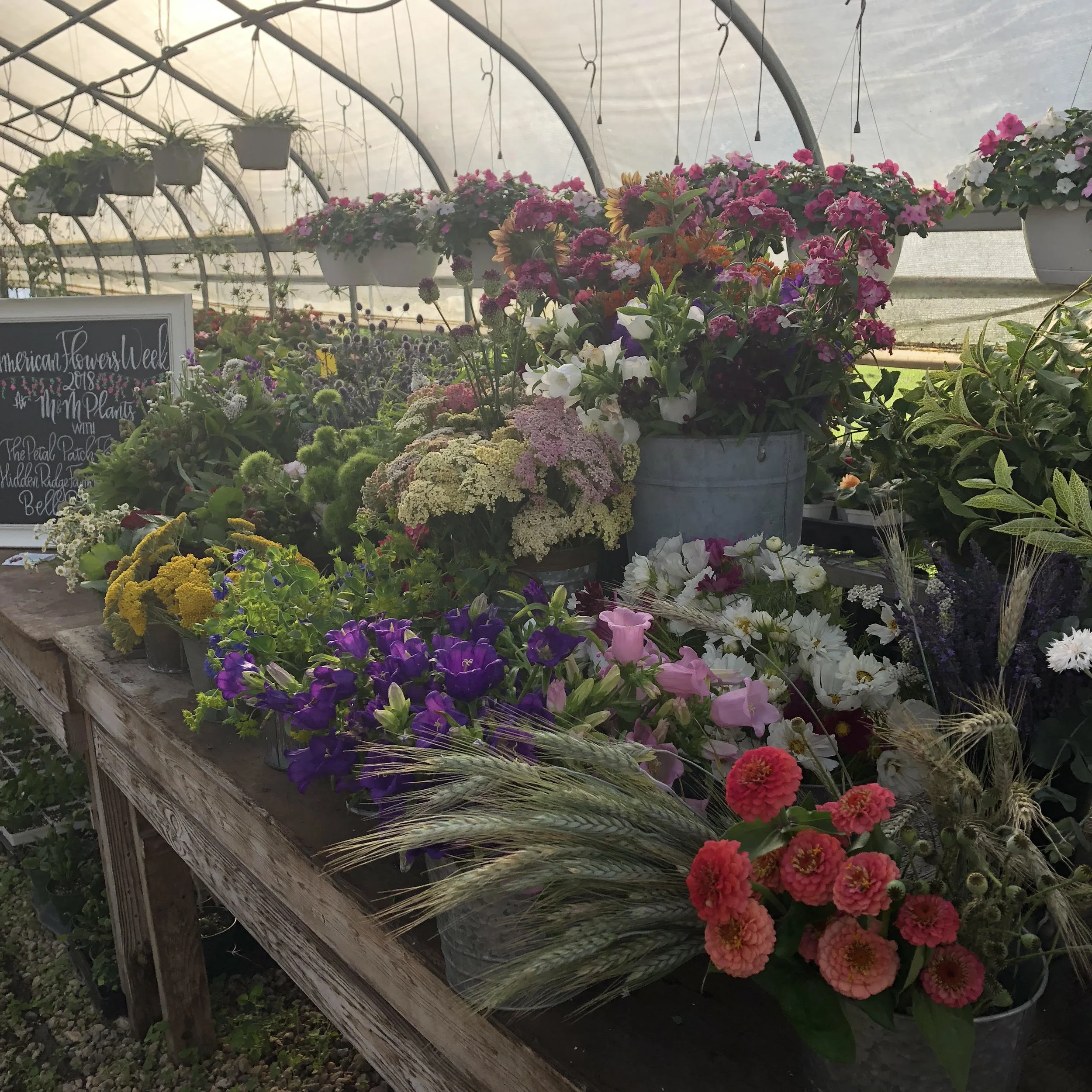 the flower selection was amazing