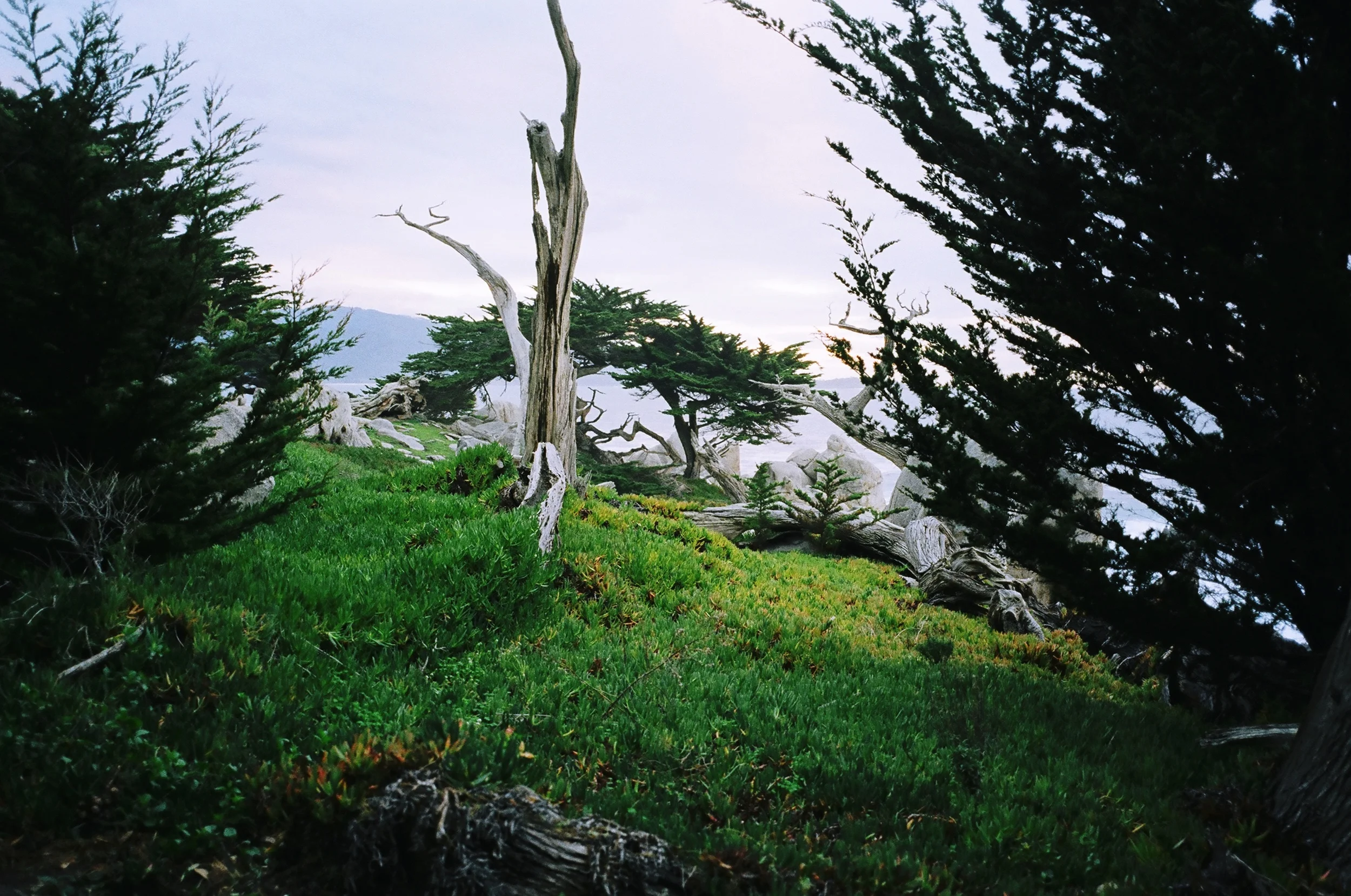 02010016.JPG