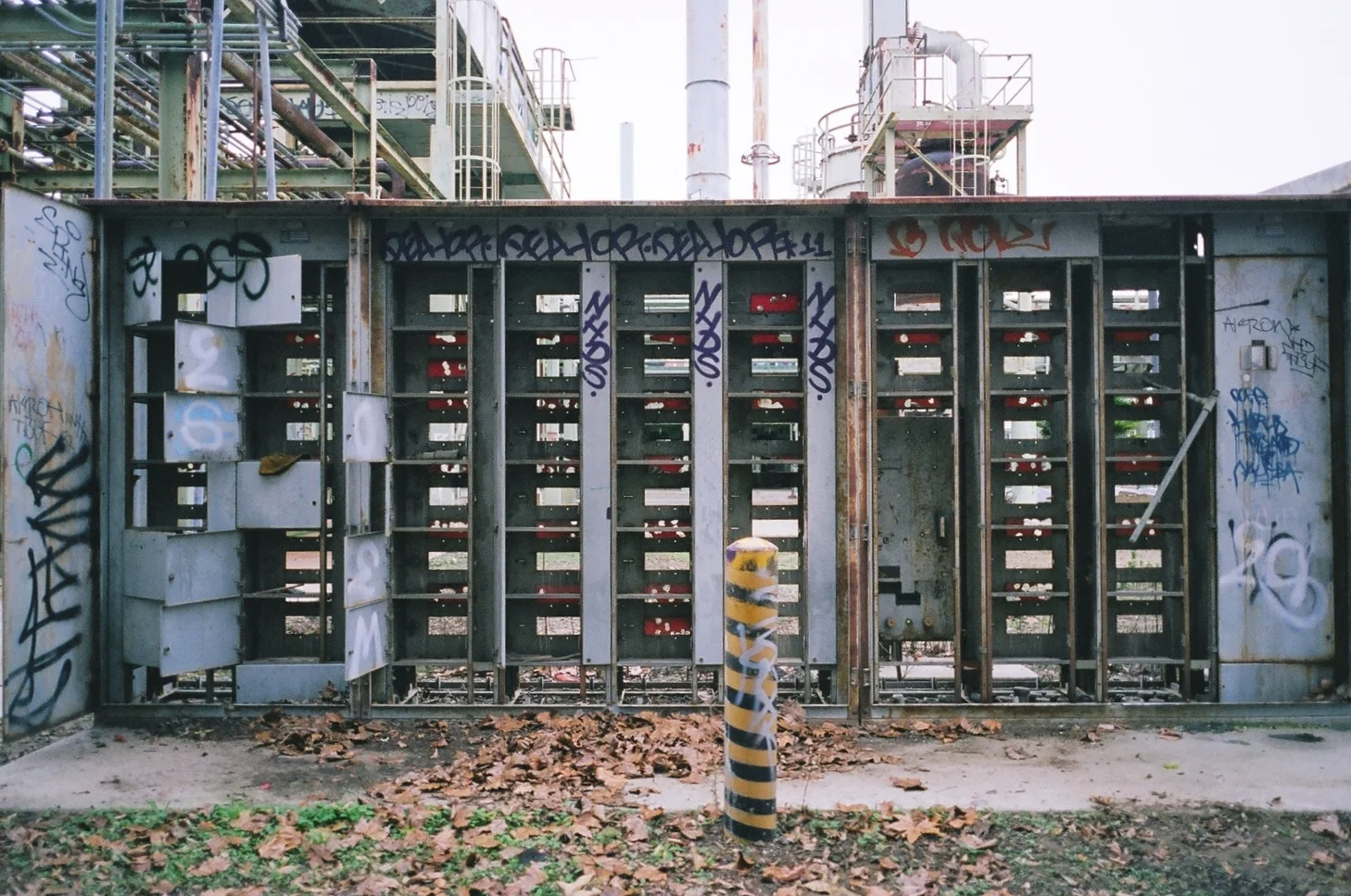01990029.JPG