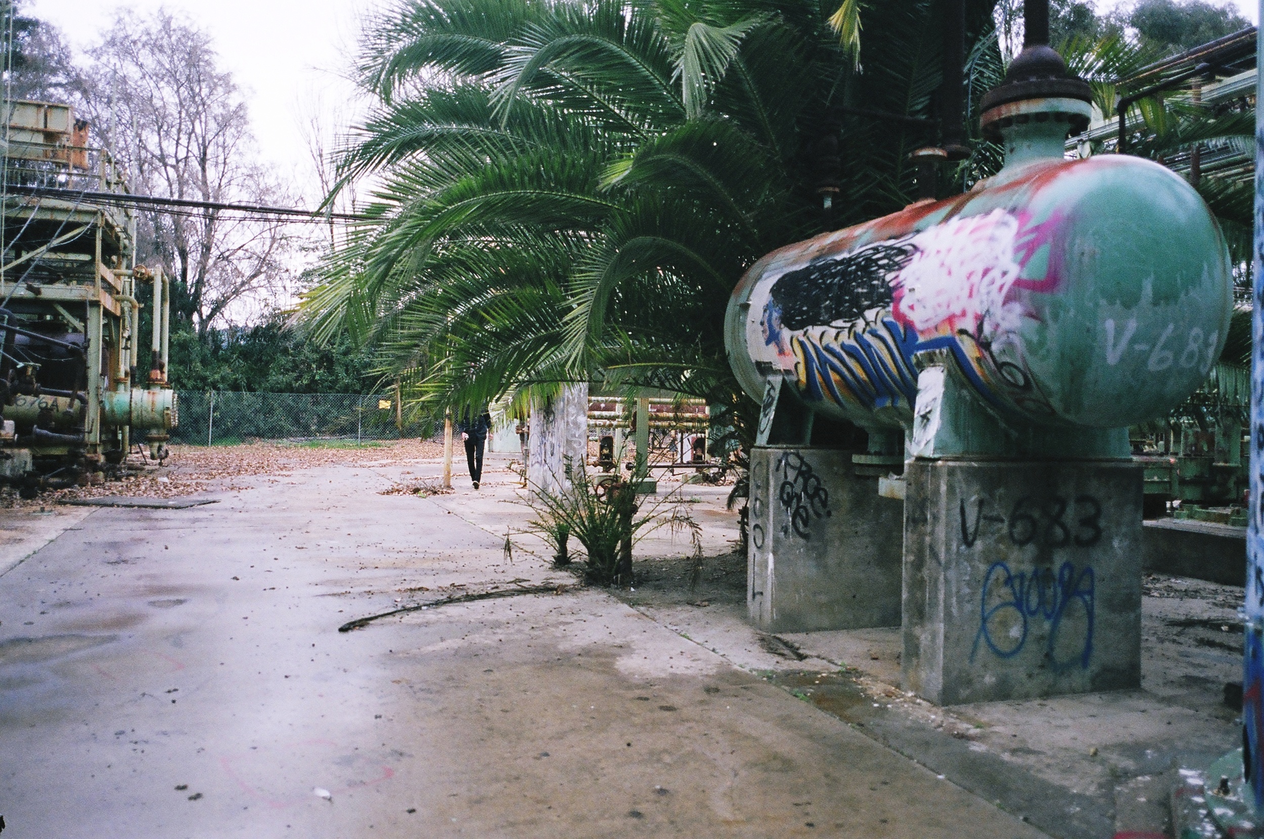 01990037.JPG