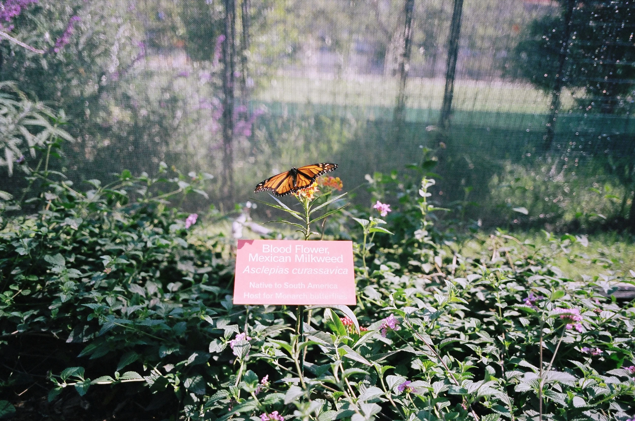 05160006.JPG