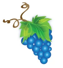 grapes-illustration.jpg