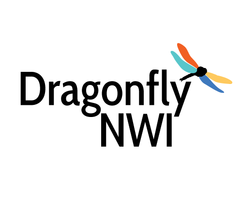 Dragonfly NWI