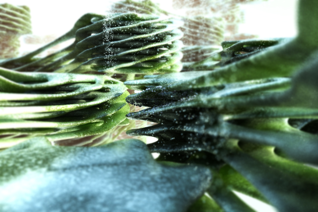 Thylakoids found in plant chloroplasts