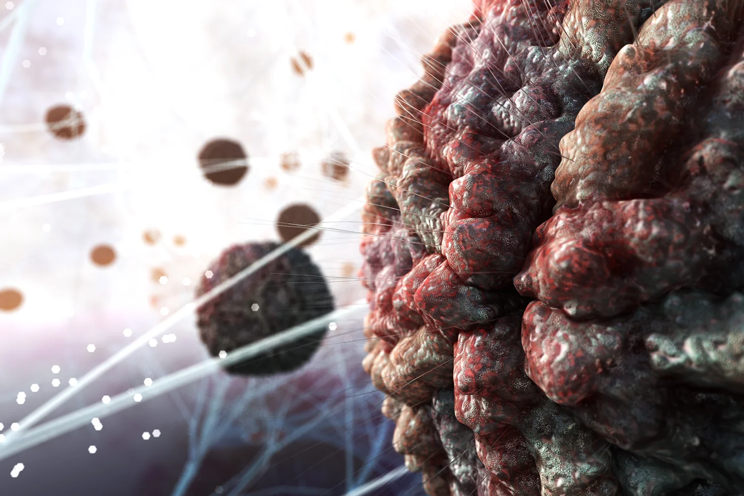 Zika virus