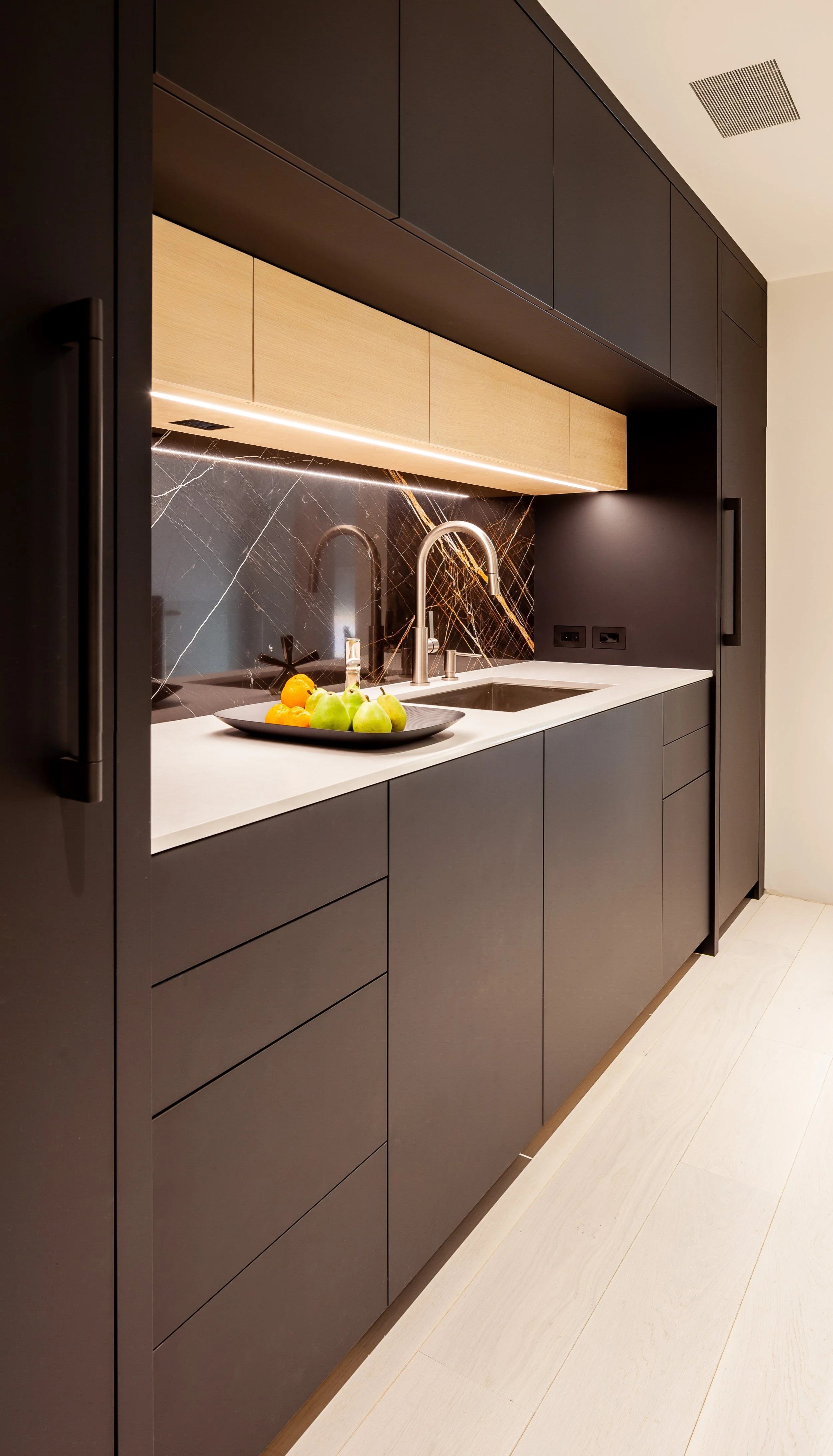 velodramatic-georgetown-kitchen--11.jpg