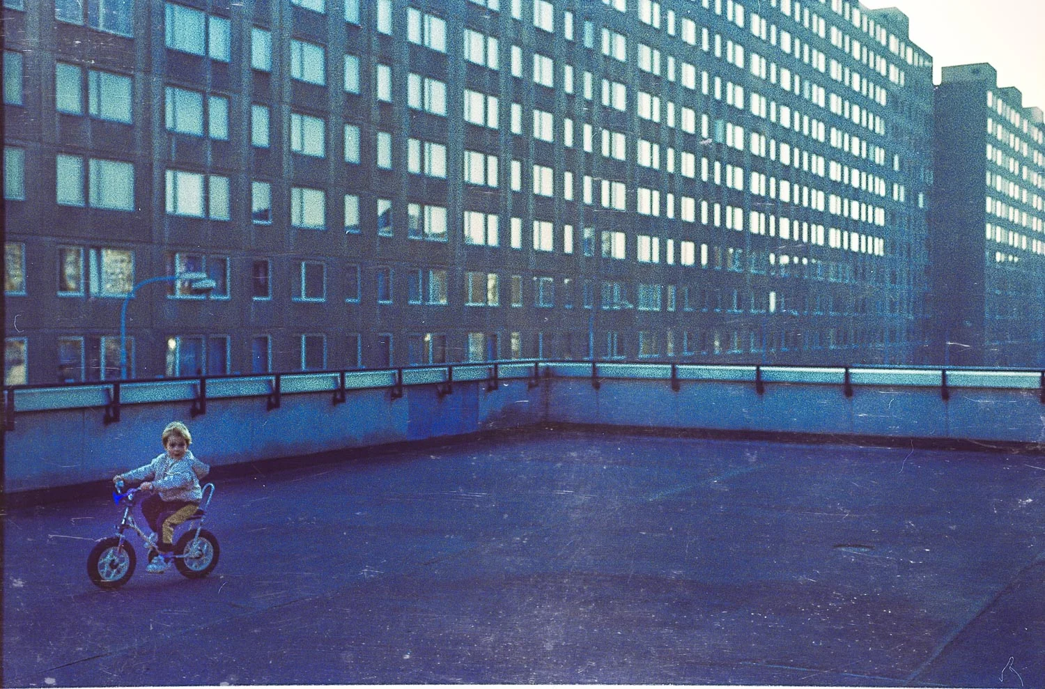 8-Bearbeitet.jpg